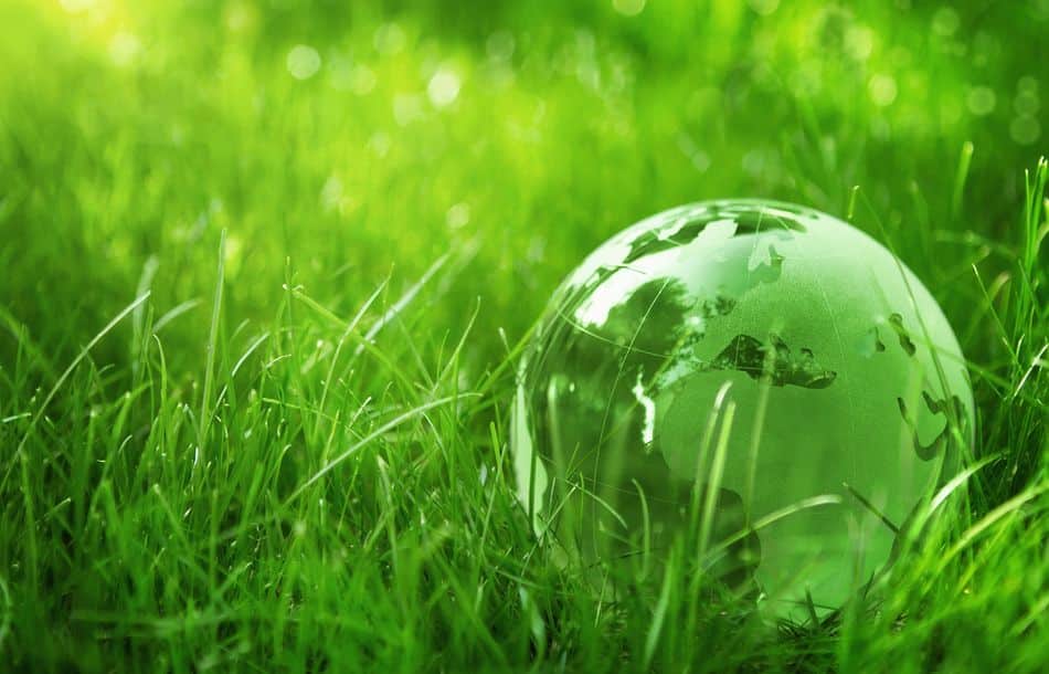 Green glass globe in the grass