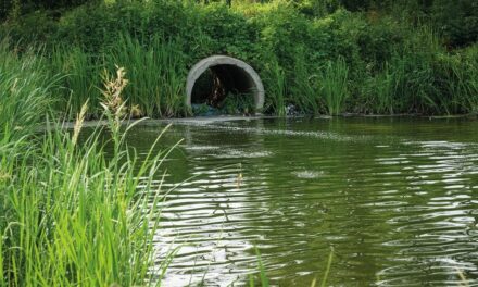 Dezentrale Datenerfassung – Damit’s im Pumpwerk rund läuft
