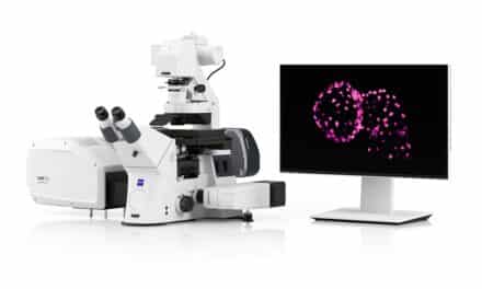 Physiologische und neuronale Prozesse in 3D